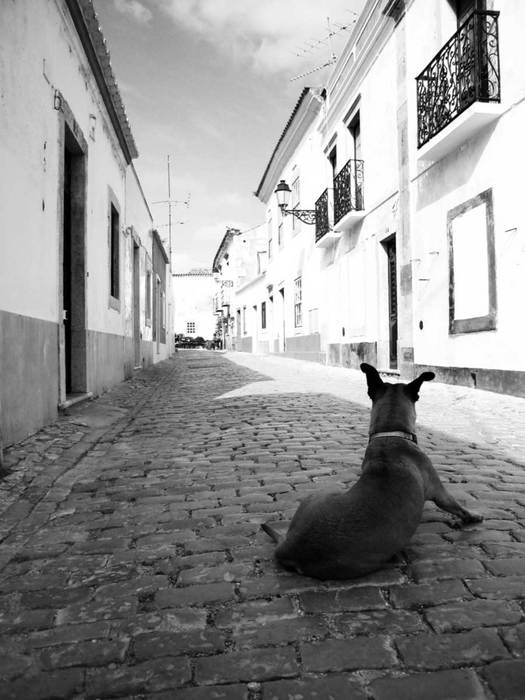 gal/2008-04 Portugal/Olivier/IMG_8303x2.jpg
